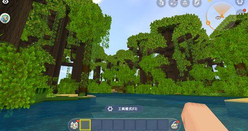 迷你小雨林爆料了吗视频  第2张